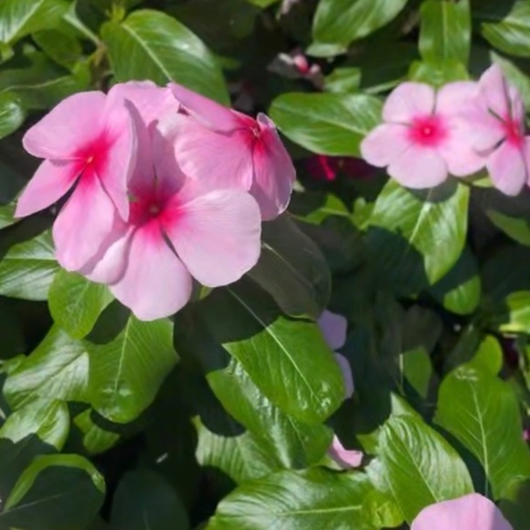 Unlisted Item Category/Size May Not Reflect Actual Item - Picture 5 of 6